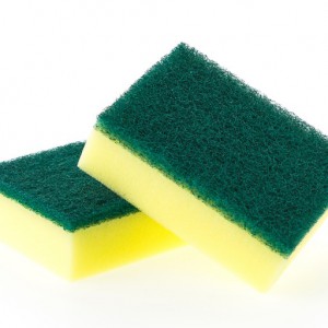 cropped-close-up-of-two-scouring-pads1.jpg
